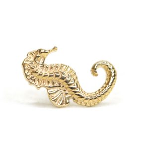 Caballito de Mar de oro
